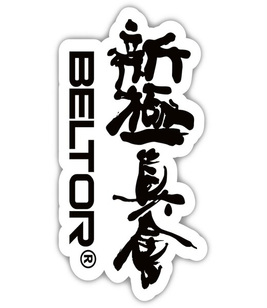 BELTOR KARATE MAGNES / KARATE MAGNET "BELTOR KANJI SHINKYOKUSHINKAI" black on white - czarne logo na białym tle 48x80mm B3996