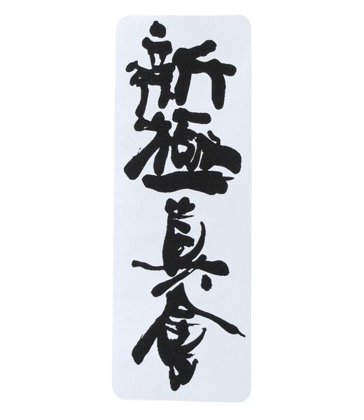 BELTOR NASZYWKA KARATE SHINKYOKUSHINKAI KANJI HAFT DUŻE HD na Kimono Karate 180mm x 74mm BELTOR23 B2241