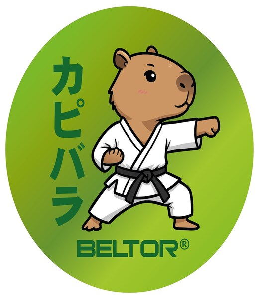 BELTOR KARATE MAGNES / KARATE MAGNET "KAPIBARA PUNCH" 60x60mm B4005