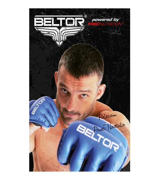 BELTOR PLAKAT A3 PRIDE FIGHTER - NASTULA  B0461