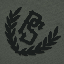 Koszulka Pretorian Ringer "PS" 3D - khaki