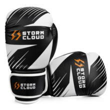 StormCloud "Lynx 2.0" Boxing Gloves - Black and White