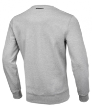 PIT BULL &quot;Tanbark&quot; &#39;21 sweatshirt - gray