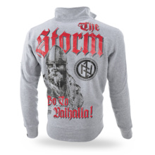 Dobermans Aggressive zip-up sweatshirt &quot;THE STORM BCZ299&quot; - gray