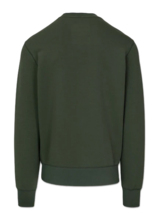 PIT BULL "SAMPSON" men's sweatshirt - green