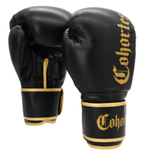 Boxing gloves Cohortes &quot;Latus Cohort&quot;
