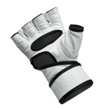 MMA gloves Allright leather SN