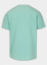 Koszulka męska PIT BULL "TAPE NUGGET" - miętowa