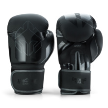 Logo 3.0 Shadow Boxing Gloves