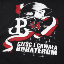 Koszulka Patriotyczna "Cześć i Chwała Bohaterom"