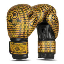 Bushido B-2v23 boxing gloves
