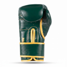 Multi-Layer Boxing Gloves - ProFighter Emerald - Legacy Series | DBX Bushido
