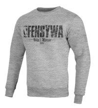 Offensive sweatshirt &quot;Strength and Honor&quot; - gray