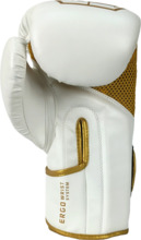  MASTERS RPU-ANGEL boxing gloves 
