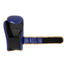  MASTERS Open Gloves &quot;ROSM-MASTERS&quot; (WAKO APPROVED) - Blue