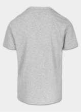 Koszulka męska PIT BULL Coolmax "SCOTT" - szara melanż