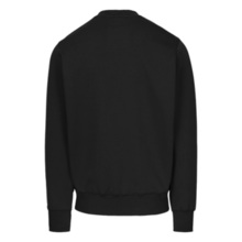Bluza męska klasyczna PIT BULL "ARBOR" - czarno/czarny