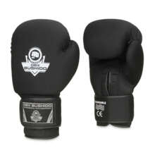 Bushido boxing gloves &quot;EverCLEAN&quot; DBX-BW