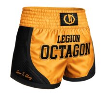 Spodenki Kickboxing/Muay Thai Legion Octagon Kevlar PREMIUM gold
