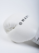 Boxing gloves MANTO "IMPACT"