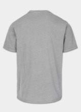 Koszulka męska PIT BULL Denim Washed Raw "SKULL LOGO" - szary