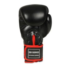 Bushido boxing gloves Wrist Protect BB2
