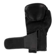 MASTERS RPU-GLOSS boxing gloves