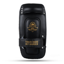 PAO Gold Thai Shields pair | ProFighter | DBX Bushido