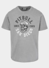 Koszulka męska PIT BULL Denim Washed Raw "SKULL LOGO" - szary