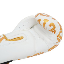 Legion Octagon Eclipse Boxing Gloves white/gold