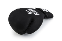 &quot;Fresh&quot; RING boxing gloves 