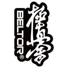 BELTOR KARATE MAGNES / KARATE MAGNET "BELTOR KANJI KYOKUSHINKAI" white on black - białe logo na czarnym tle 48x80mm  B3991