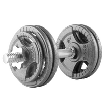 BELTOR PF LINE HANTLA ŻELIWNA - CAST IRON DUMBBELL SZARA-HAMMERTONE 15kg / 28mm P0135